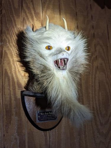 Devil Monkey Case Photos!
